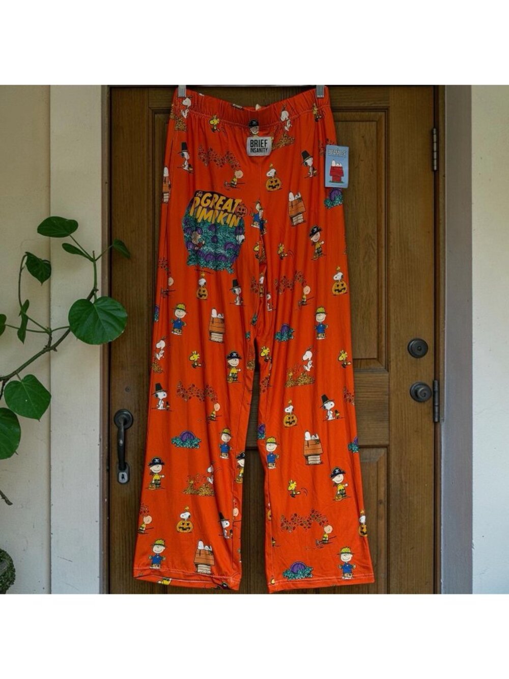 Snoopy Peanuts Brief Insanity Halloween Great Pumpkin Pajama Pants Sz M New
